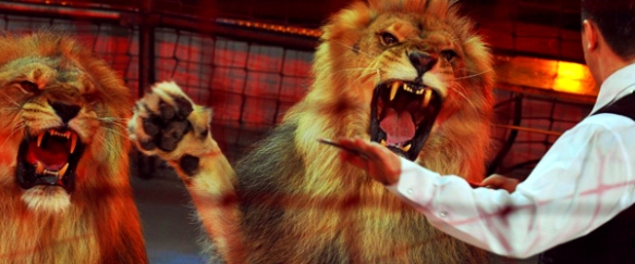 Procura-se domadores de leões | Liberdade para Adorar